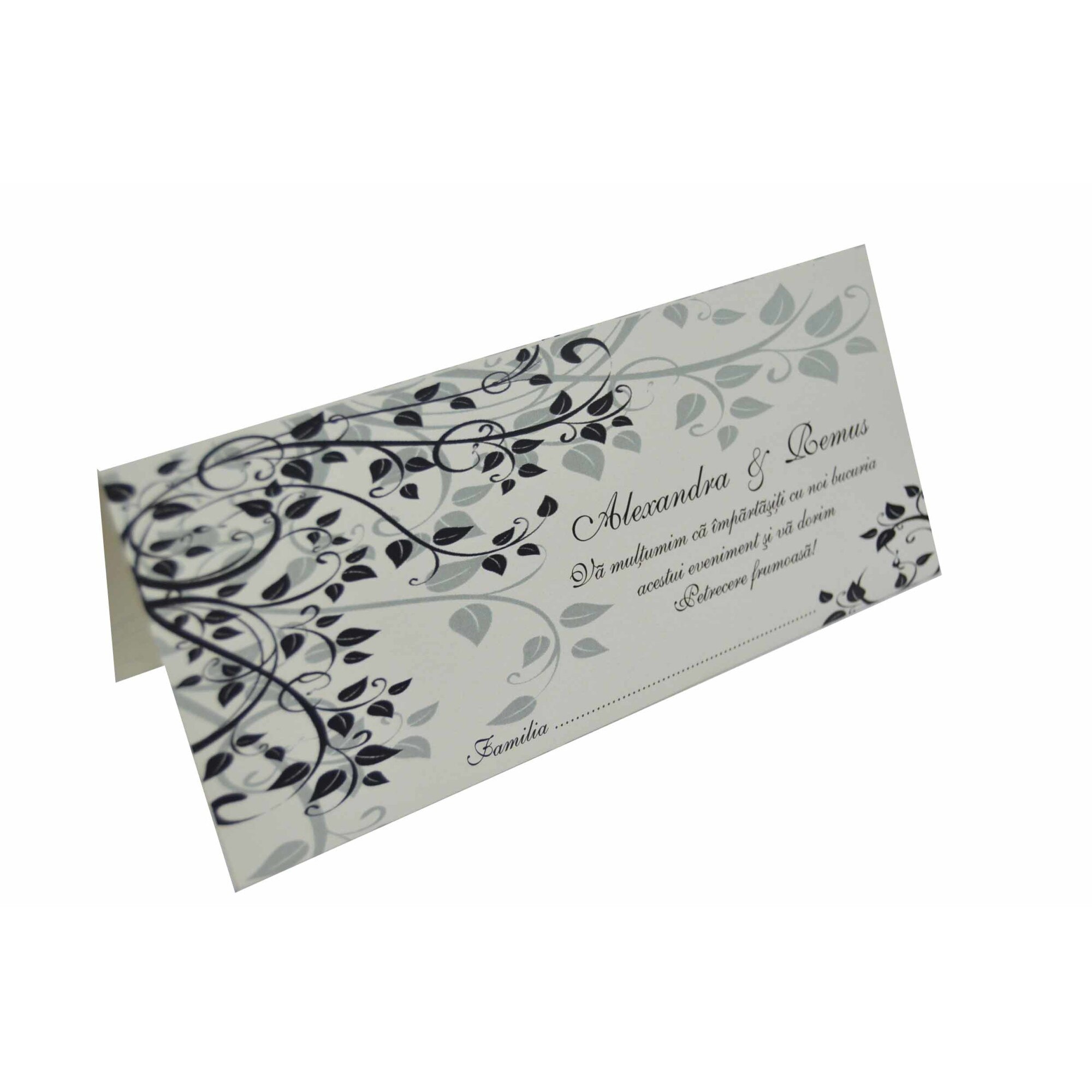 Plicuri de bani pentru nunta, personalizate, P24, set 10 buc, Cubika