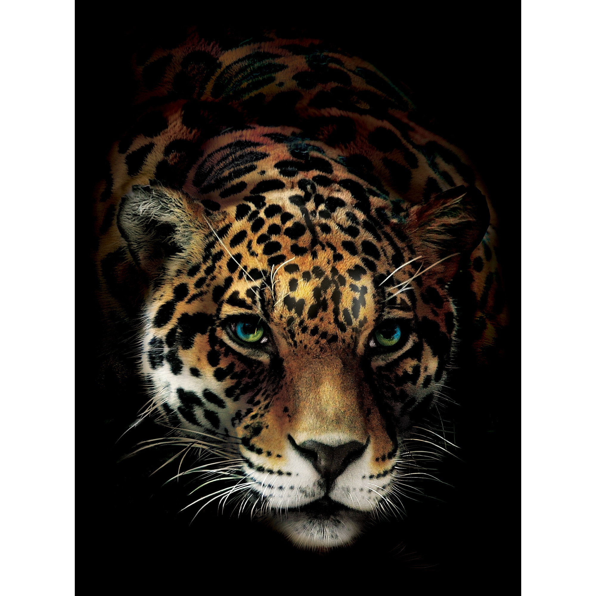 Fototapet DEGRETS 83360 Jaguar 254x184cm