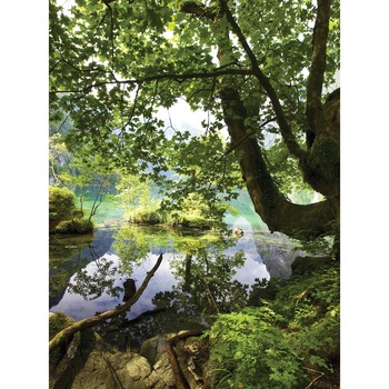 Fototapet DEGRETS 83350 Lacul din padure 254x184cm Fototapet DEGRETS 83350 Lacul din padure 254x184cm