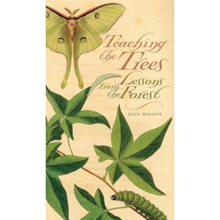 Teaching the Trees: Lessons from the Forest, Joan Maloof