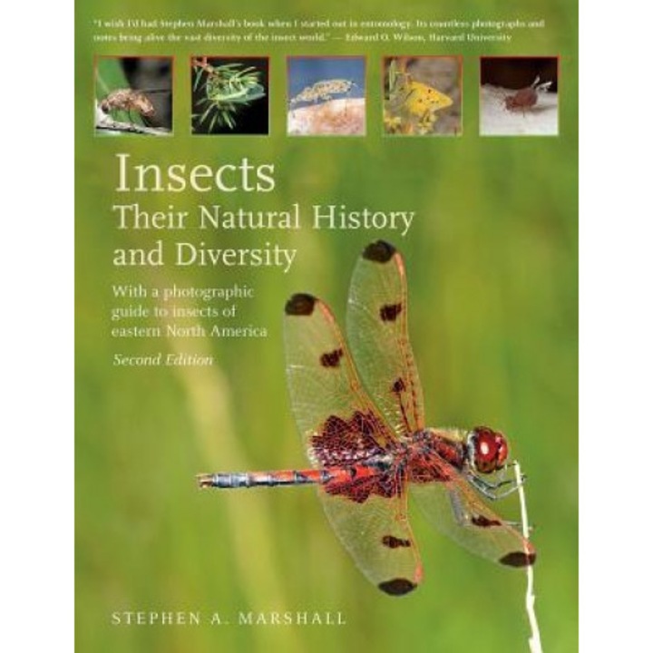 Insects: Their Natural History and Diversity: With a Photographic Guide to Insects of Eastern North America, Stephen Marshall (Author)