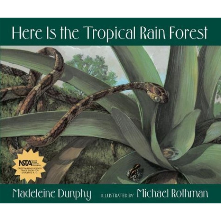 Here Is the Tropical Rain Forest, Madeleine Dunphy