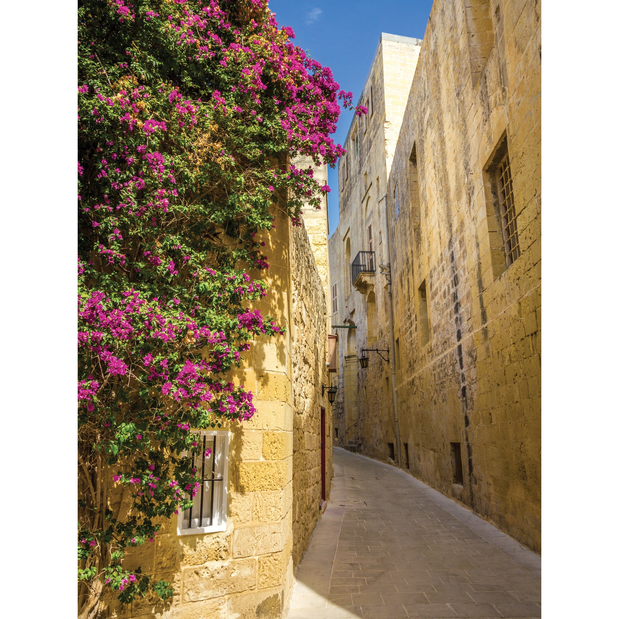 Fototapet DEGRETS 83345 Alee 2 3D 254x184cm