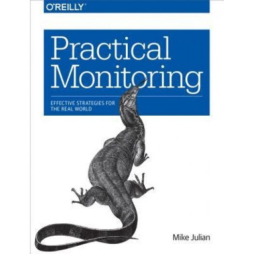 Practical Monitoring: Effective Strategies for the Real World, Mike Julian (Author)