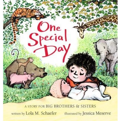 One Special Day [Board Book] (a Story for Big Brothers and Sisters): A Story for Big Brothers and Sisters, Lola M. Schaefer (Author)