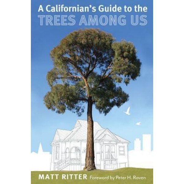 A Californian's Guide to the Trees Among Us, Matt Ritter (Author)