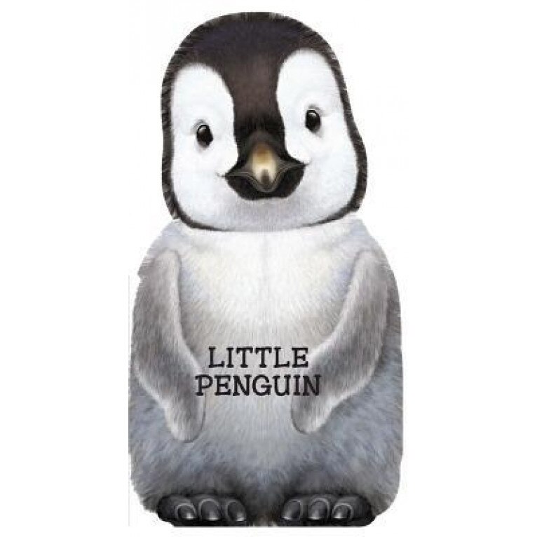 Little Penguin, Giovanni Caviezel (Author)
