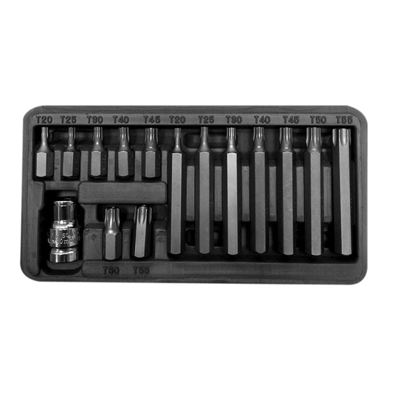 Set varfuri torx cu orificiu Proline, CR-VA, otel S2, 15 piese/set