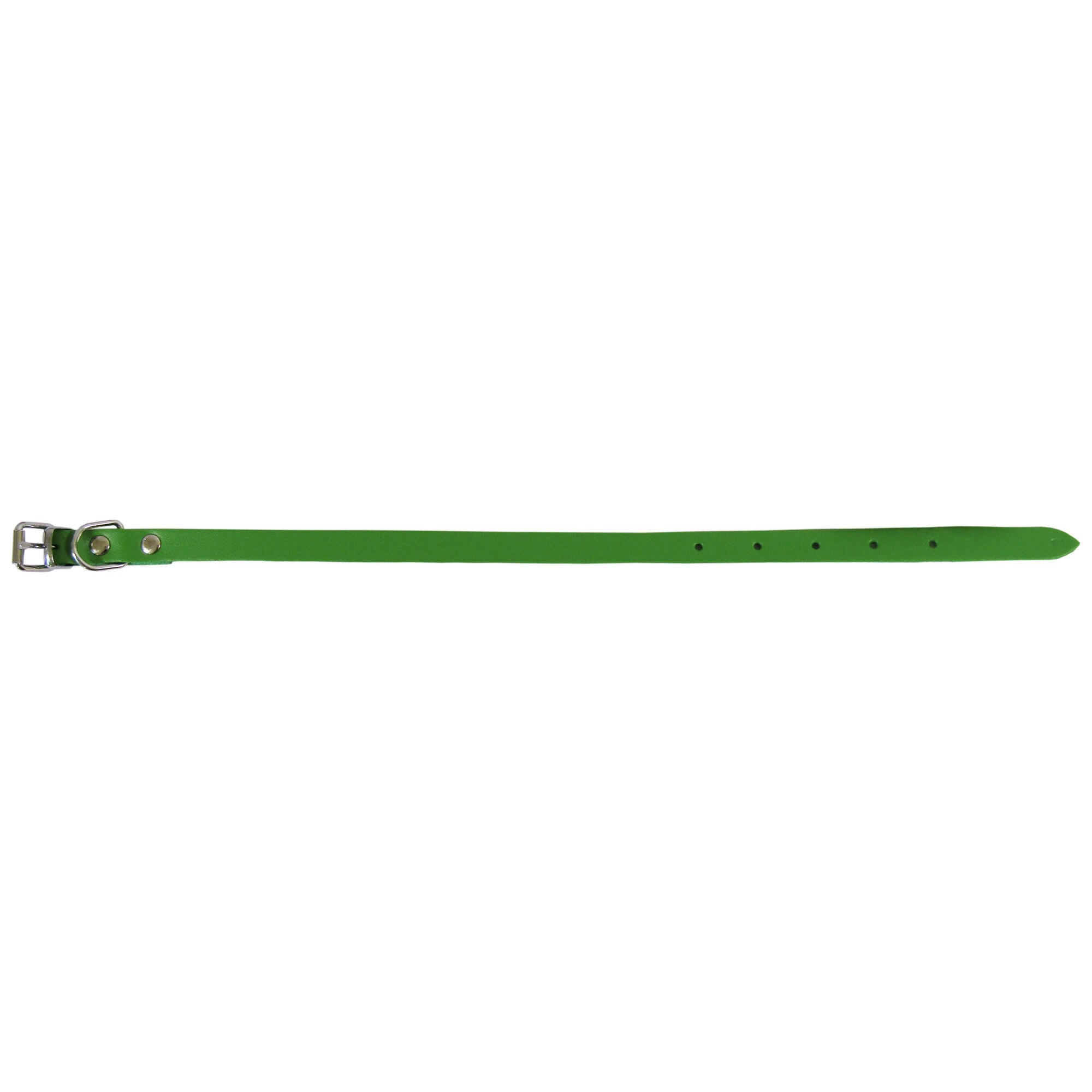 Zgarda Exo L0 1.2/36 cm simplu din piele verde pentru caini