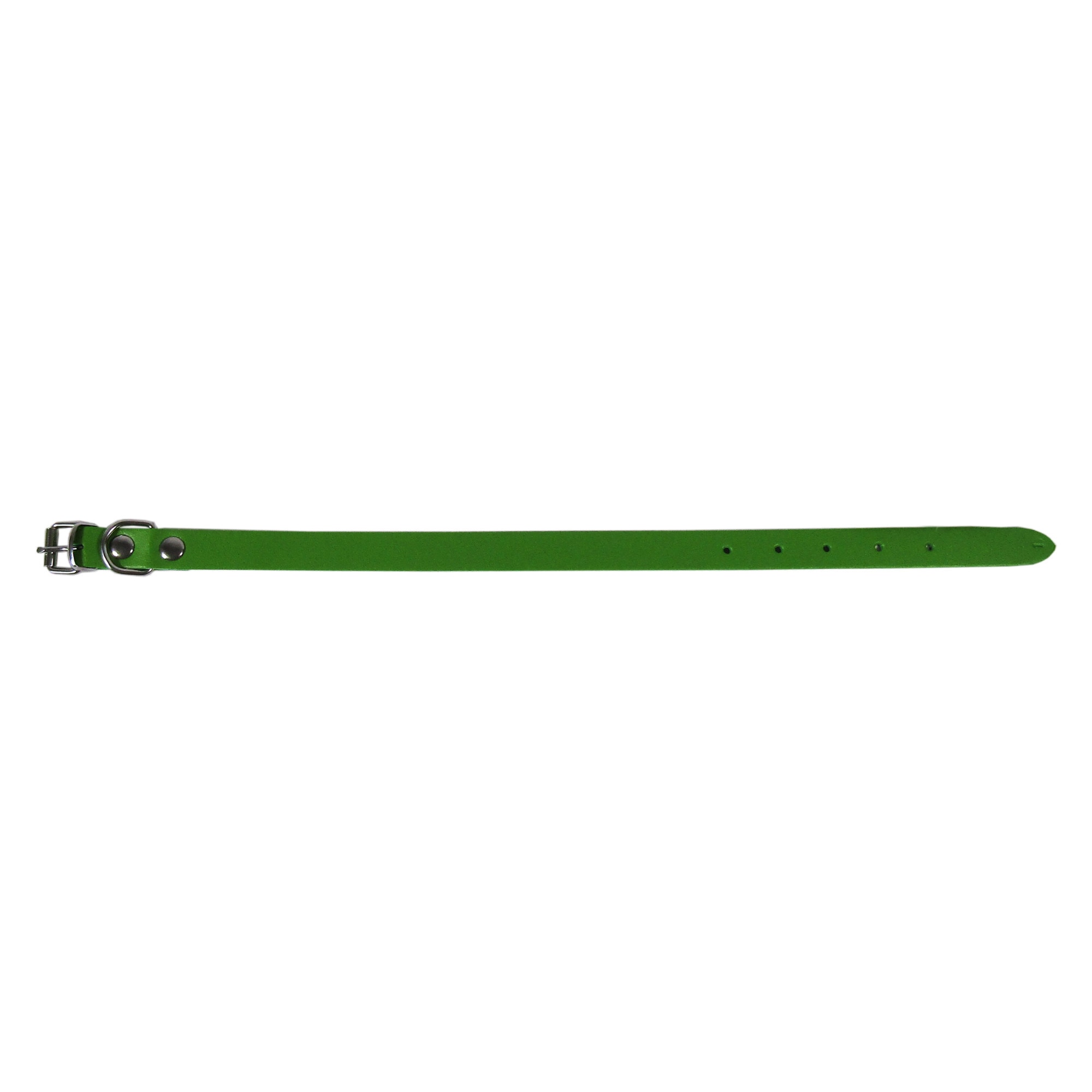Zgarda Exo L1 1.6/40 cm simplu din piele verde pentru caini