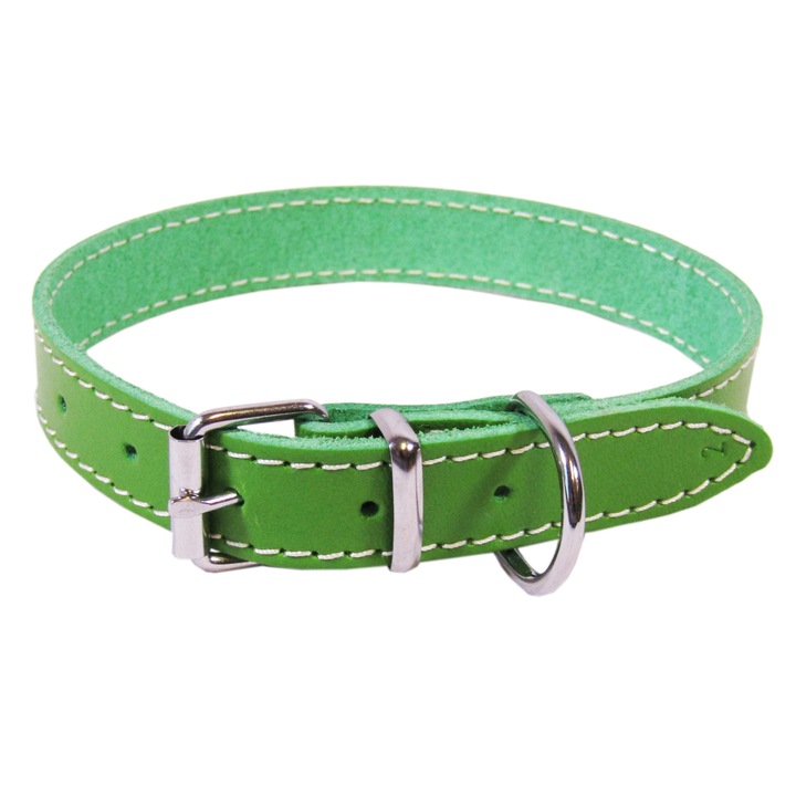 Zgarda Exo L2 2.0/45 cm simplu din piele verde pentru caini