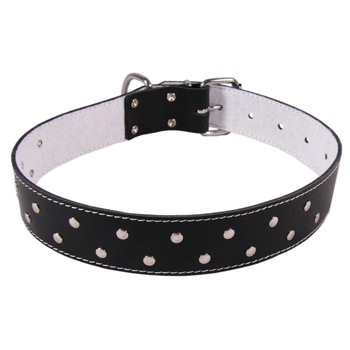 Zgarda Exo L6 4.0/74 cm ornament din piele negru pentru caini Zgarda Exo L6 4.0/74 cm ornament din piele negru pentru caini