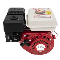 motor benzina 75cp ohv ax pana 20mm 4 timpi campion cmp-0238 model nou imagen 28_0_
0
