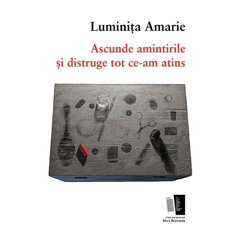 Ascunde amintirile si distruge tot ce-am atins - Luminita Amarie
