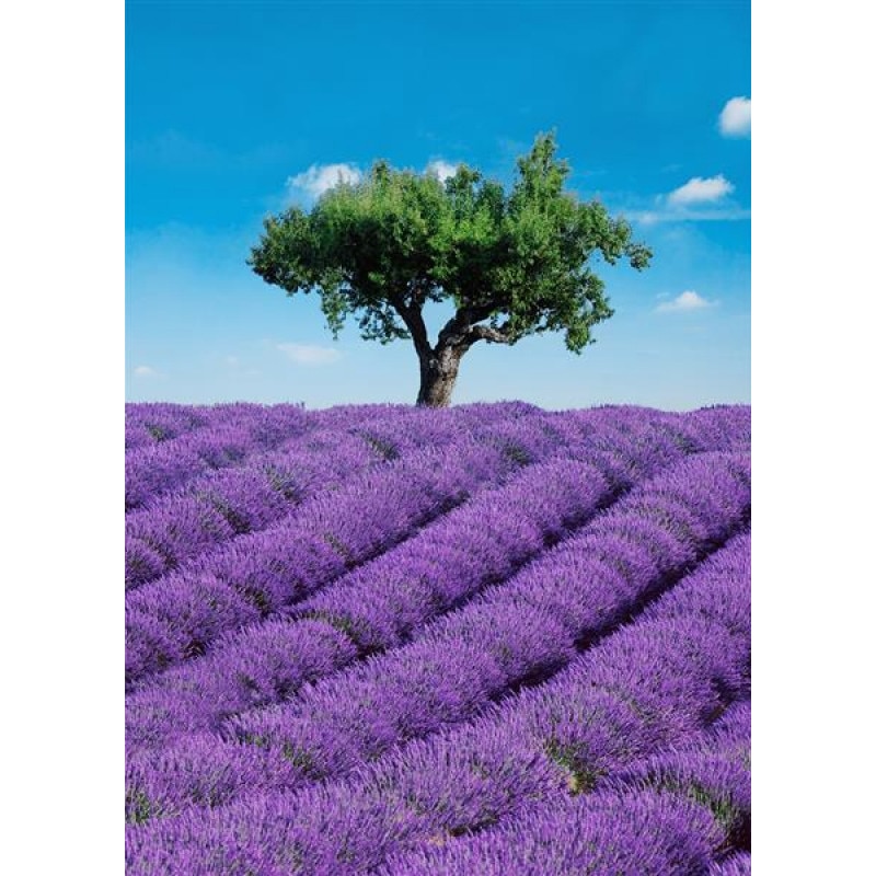 Fototapet peisagistic Wizard & Genius 309 Mov/Albastru 183 X 254cm ( LxI )