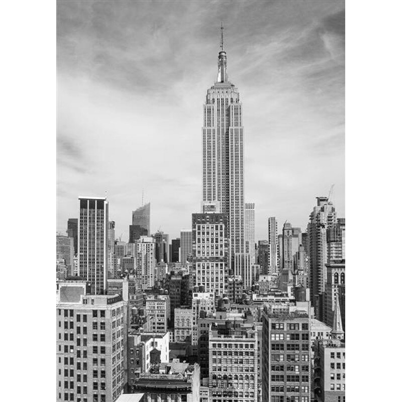 Fototapet urban Wizard & Genius 310 alb/Negru 183 X 254cm ( LxI )