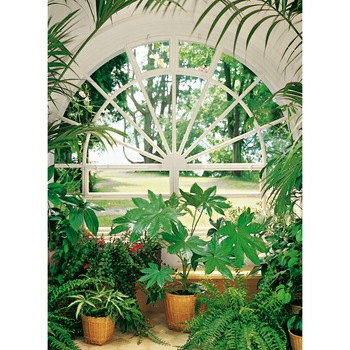 Fototapet peisagistic Wizard Genius 322 Verde 183 X 254cm ( LxI ) Fototapet peisagistic Wizard Genius 322 Verde 183 X 254cm ( LxI )