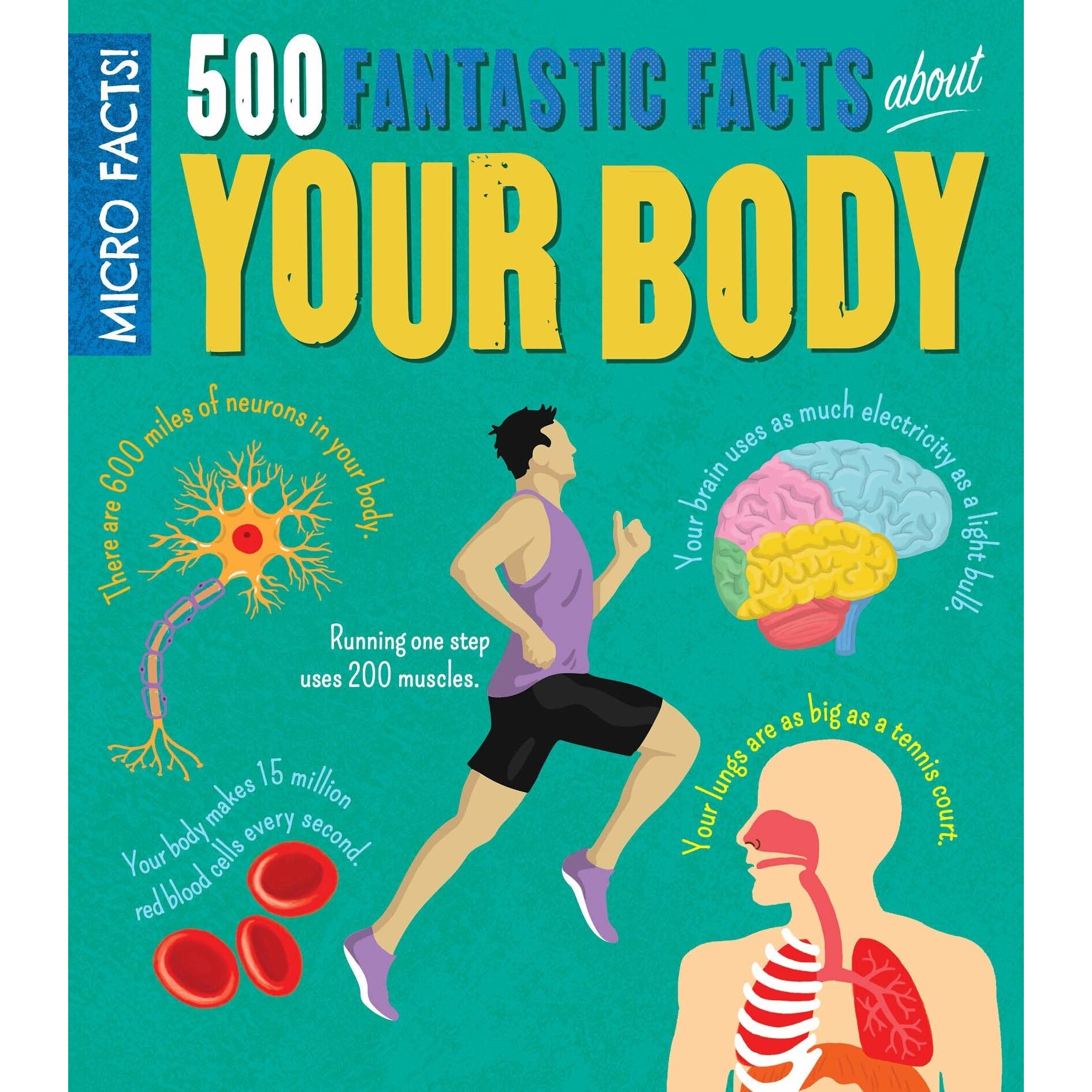 Micro Facts! 500 Fantastic Facts About Your Body - Anne Rooney