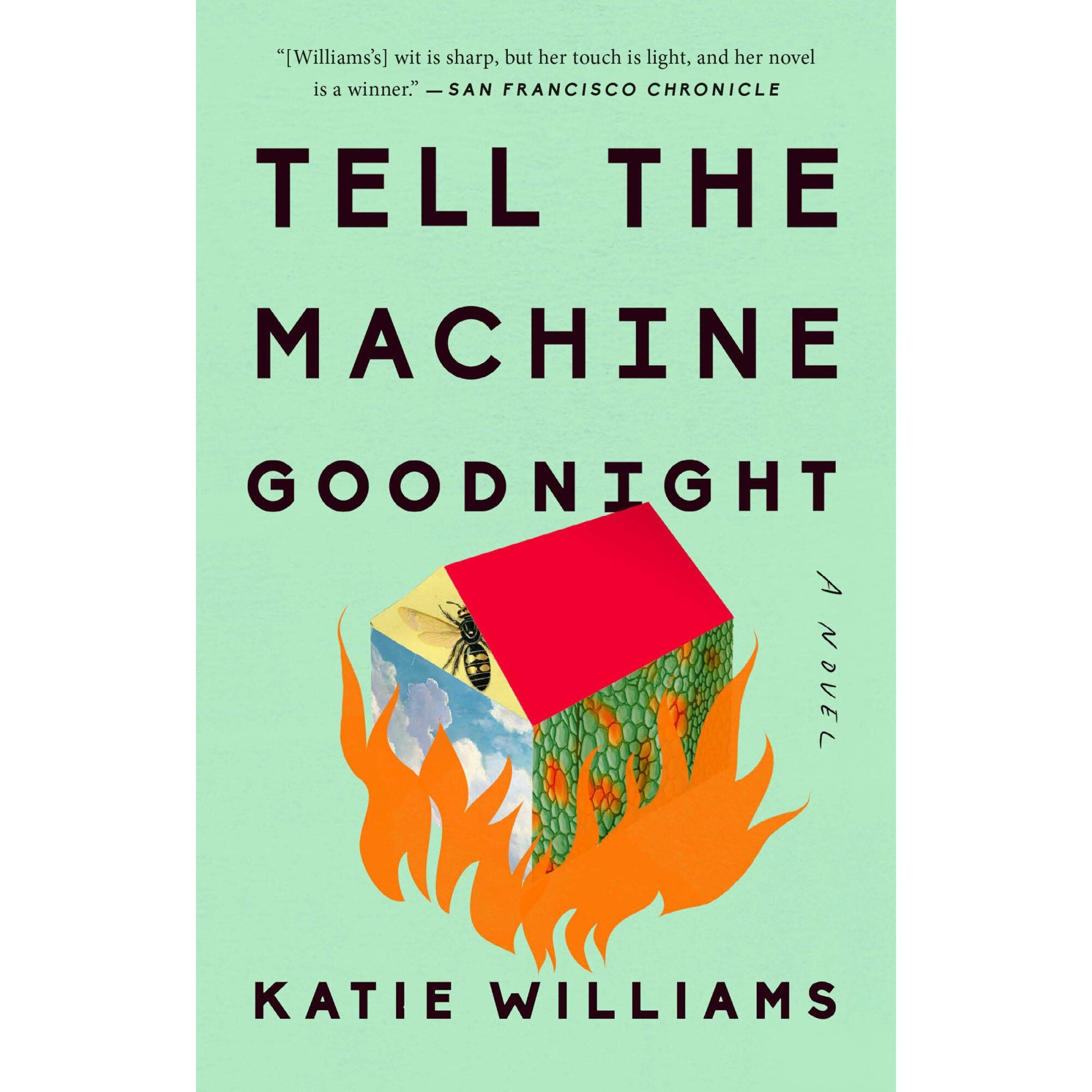 Tell the Machine Goodnight - Katie Williams, ed 2019