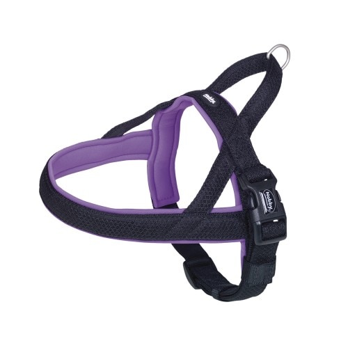Nobby Halsband Mesh Preno türkis kaufen | Globus Baumarkt