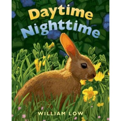 Daytime Nighttime, William Low (Author)