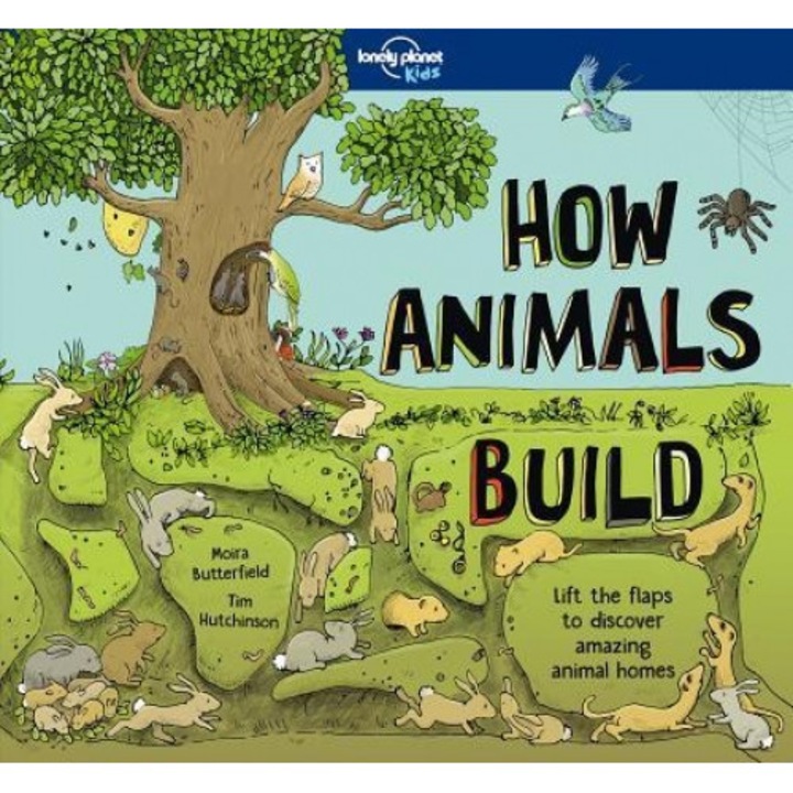How Animals Build, Lonely Planet (Author)