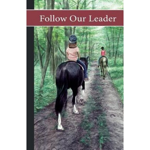 Sonrise Stable: Follow Our Leader, Vicki Watson (Author)