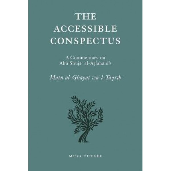 The Accessible Conspectus, Musa Furber (Author)