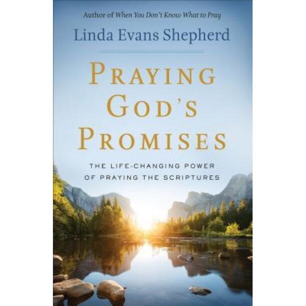 Praying God's Promises: The Life-Changing Power of Praying the Scriptures, Linda Evans Shepherd (Author)