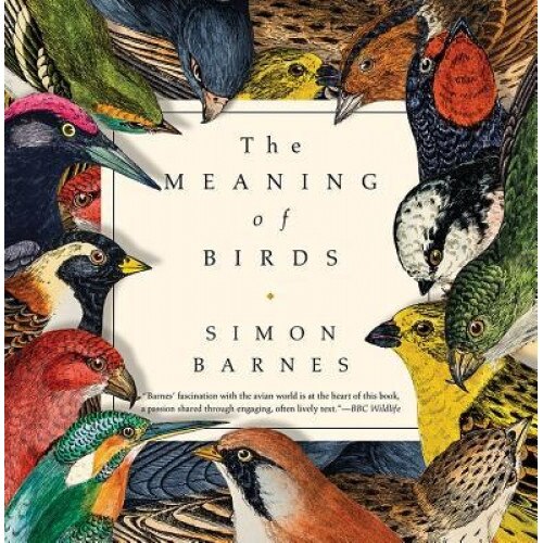 The Meaning of Birds, Simon Barnes (Author)
