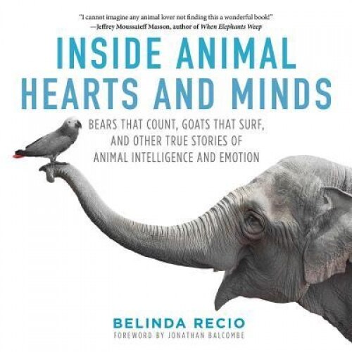 Inside Animal Hearts and Minds: Bears That Count, Goats That Surf, and Other True Stories of Animal Intelligence and Emotion, Belinda Recio (Author)