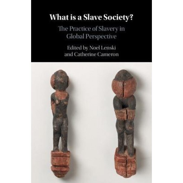 What Is a Slave Society?: The Practice of Slavery in Global Perspective, Noel Lenski (Editor)