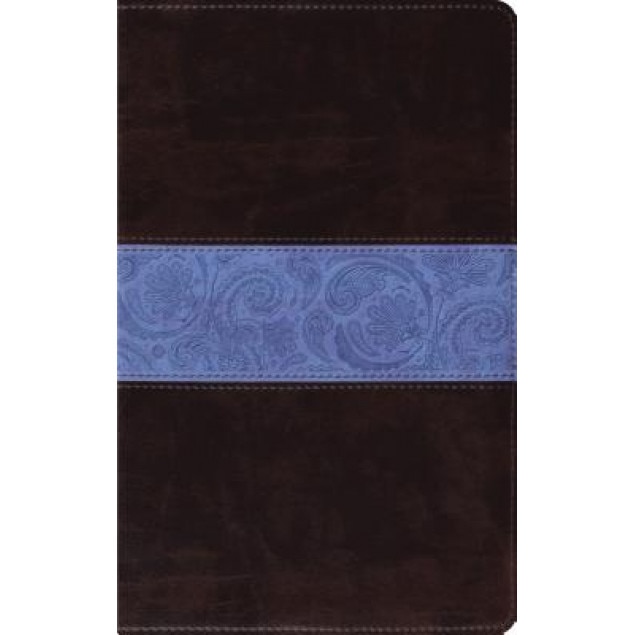 ESV Thinline Bible (Trutone, Chocolate/Blue, Paisley Band),