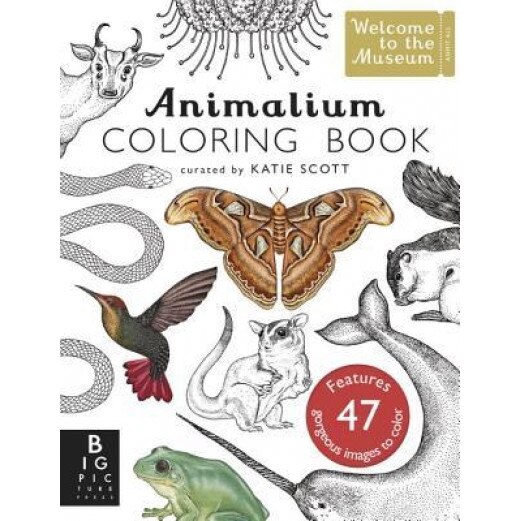 Animalium Coloring Book, Jenny Broom (Author)
