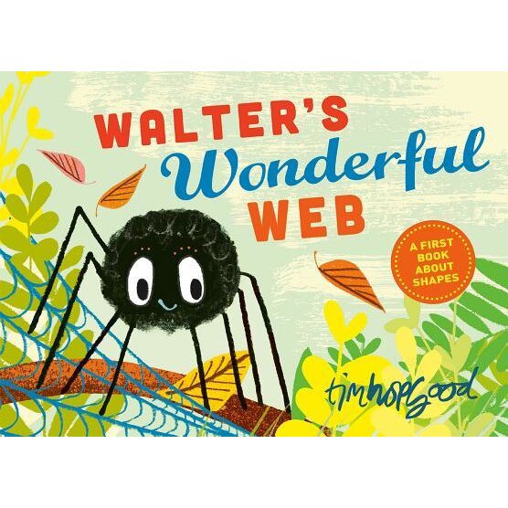 Walter's Wonderful Web, Tim Hopgood (Author)