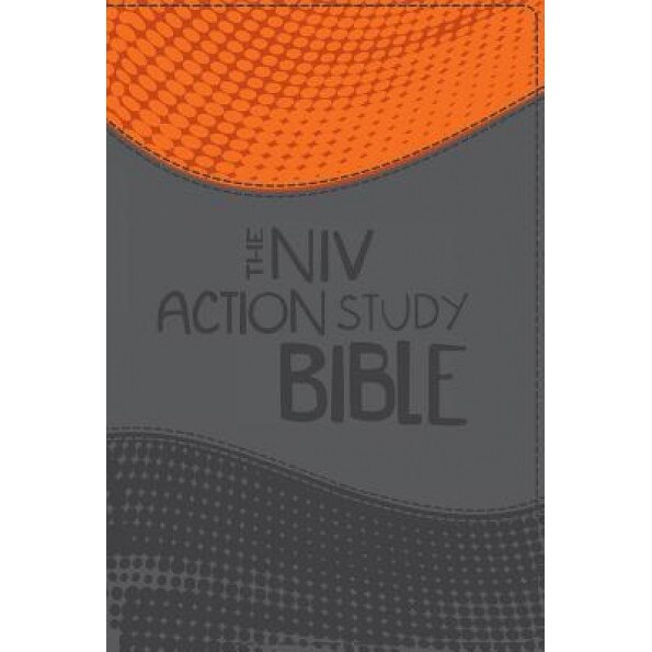 The NIV Action Study Bible-Premium Edition, Sergio Cariello (Illustrator)