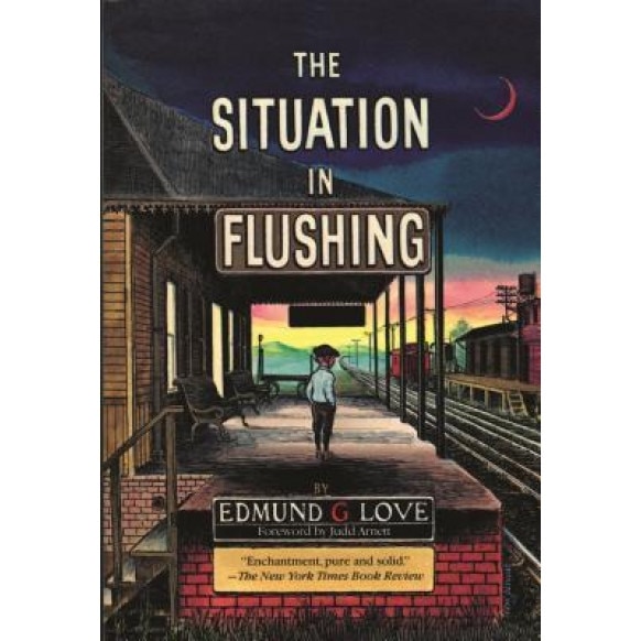 The Situation in Flushing, Edmund G. Love (Author)