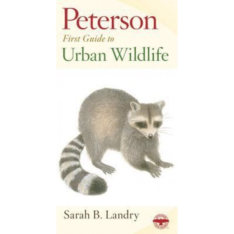 Peterson First Guide to Urban Wildlife, Sarah Landry