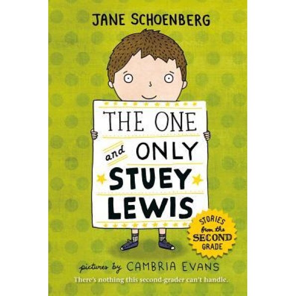 The One and Only Stuey Lewis: Stories from the Second Grade, Jane Schoenberg (Author)