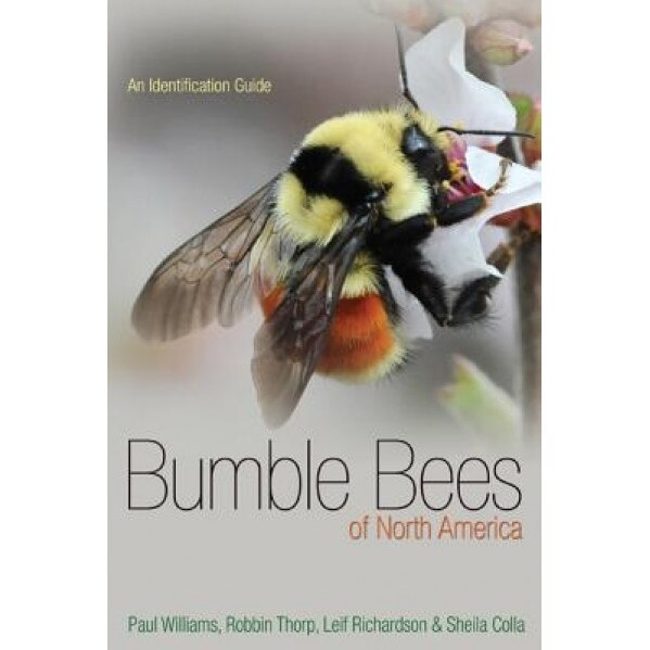 Bumble Bees of North America: An Identification Guide, Paul H. Williams (Author)