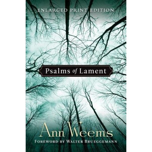 Psalms of Lament, Ann Weems (Author)