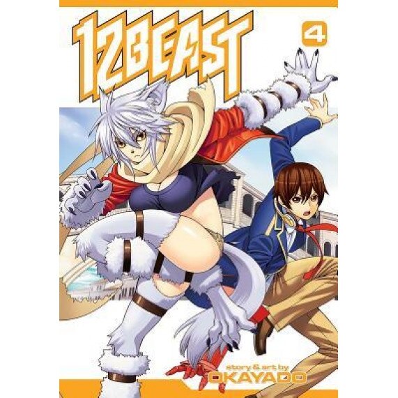 12 Beast Vol. 4, Okayado (Author)