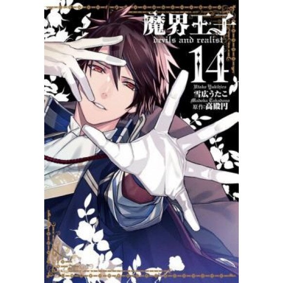 Devils and Realist Vol. 14, Madoka Takadono (Author)