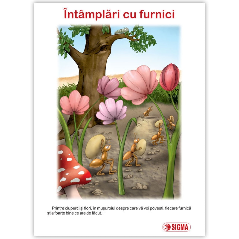 Intamplari cu furnici - Daniela Stoicescu,Daniela Besliu,Catalina Zagaradniuc,Getuta Dorobantu,Otilia Brebenel,Aniela Mancas,Nicoleta Stanica, ed 2014