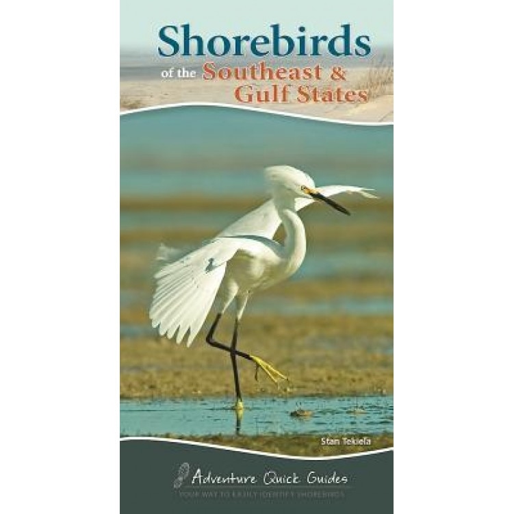 Shorebirds of the Southeast & Gulf States, Stan Tekiela (Author)