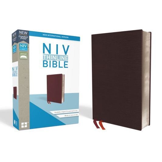 NIV, Thinline Bible, Bonded Leather, Burgundy, Red Letter Edition, Zondervan (Author)