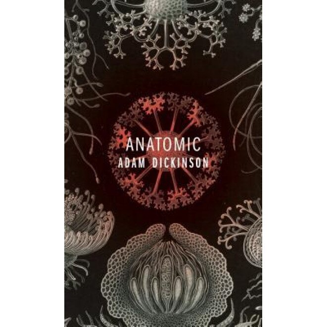 Anatomic, Adam Dickinson (Author)
