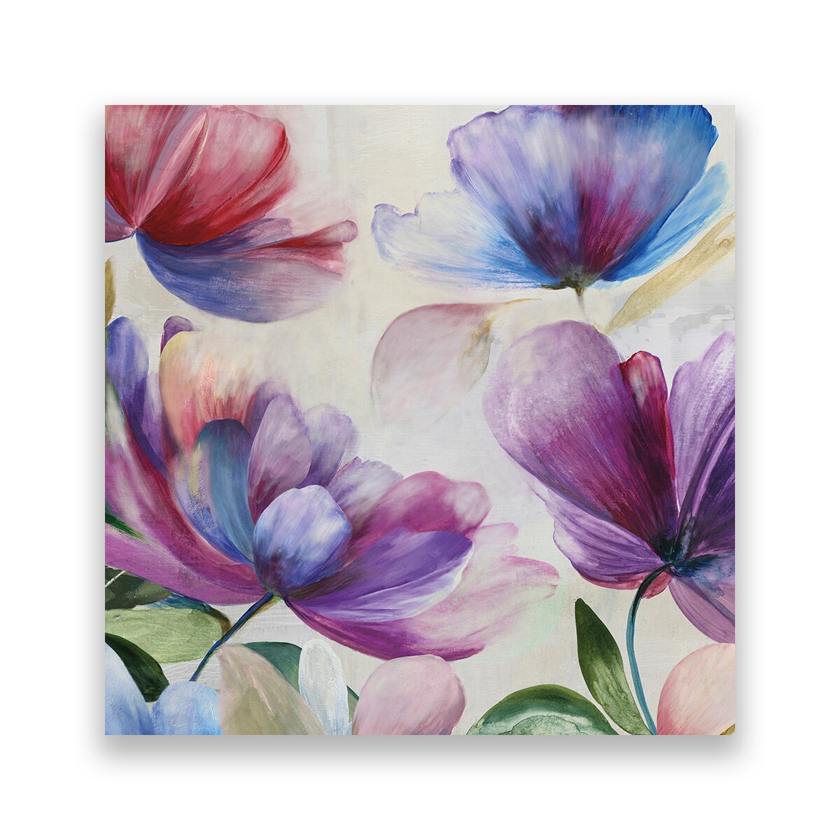 Tablou Canvas - Flori, Lalele, Mov, 80 x 80 cm