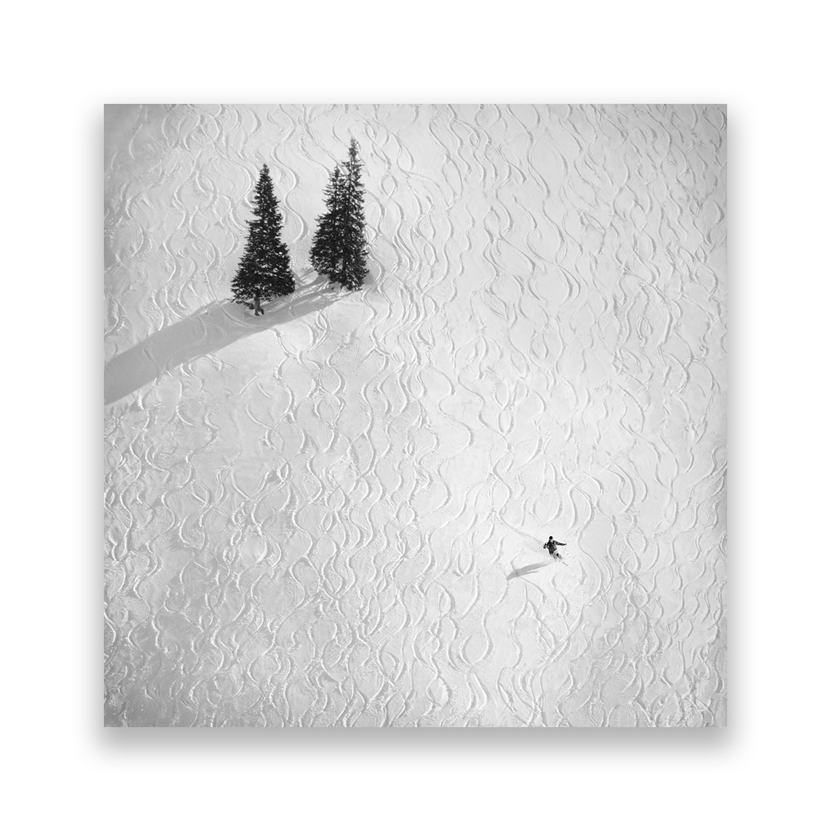 Tablou Canvas - Schii, Zapada, Iarna, 80 x 80 cm