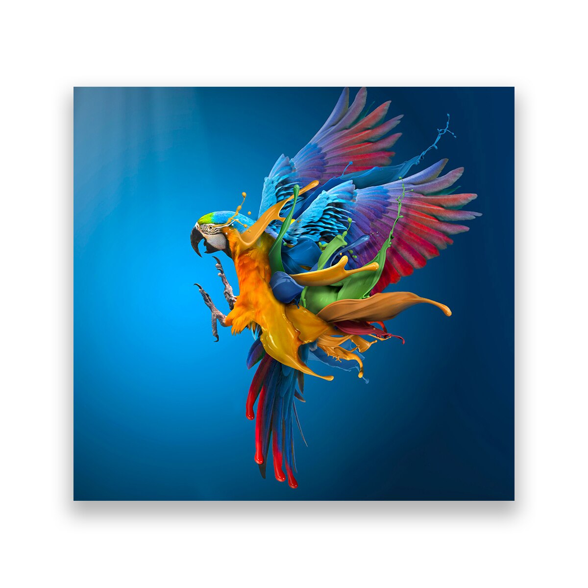 Tablou Canvas - Animal, Papagal, Culori, 80 x 80 cm
